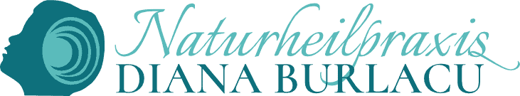 logo-1 ADHS